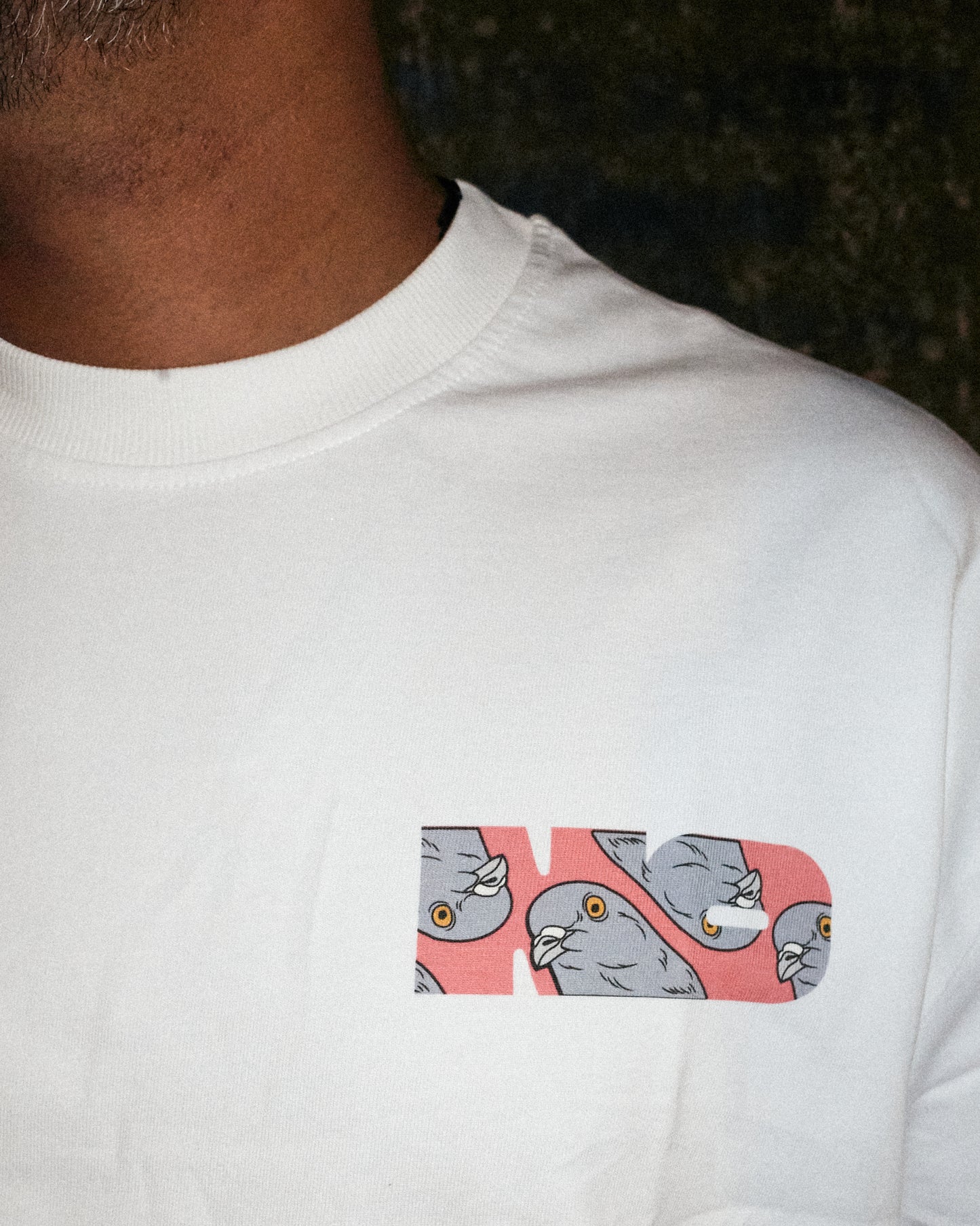 The No Kabootar Khaana by FR’oDD